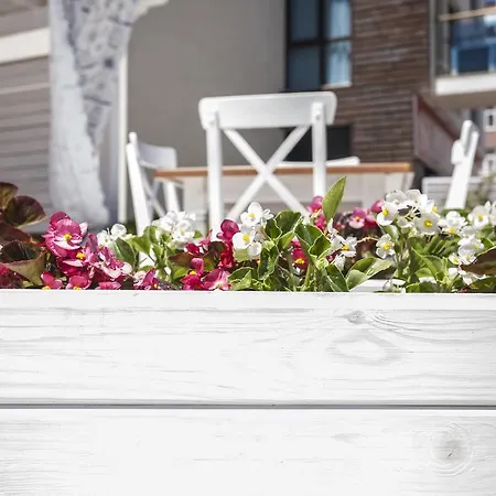 Sun Gate ساني بيتش